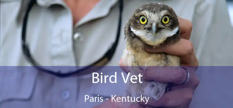 Bird Vet Paris - Kentucky