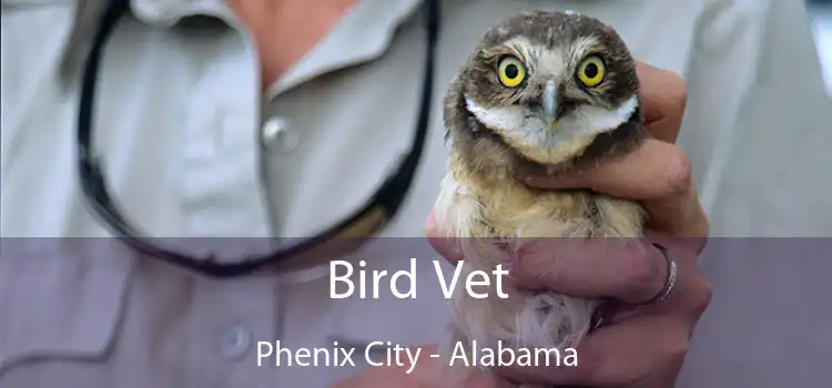 Bird Vet Phenix City - Alabama