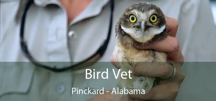 Bird Vet Pinckard - Alabama