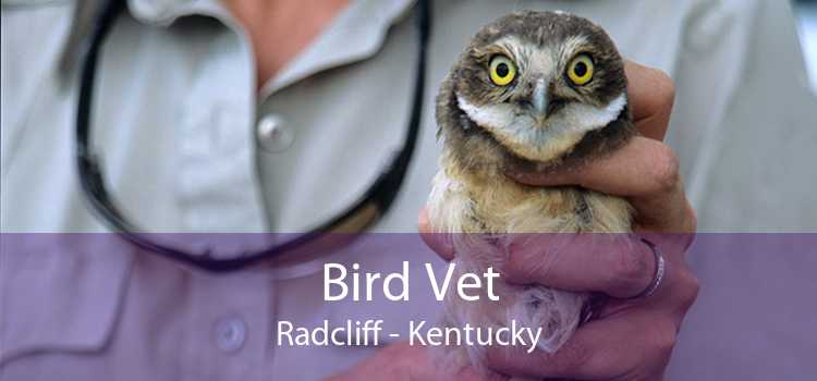 Bird Vet Radcliff - Kentucky