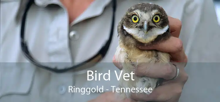 Bird Vet Ringgold - Tennessee