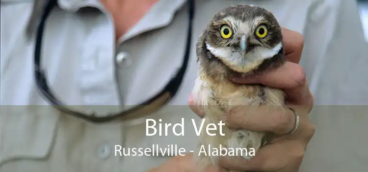 Bird Vet Russellville - Alabama