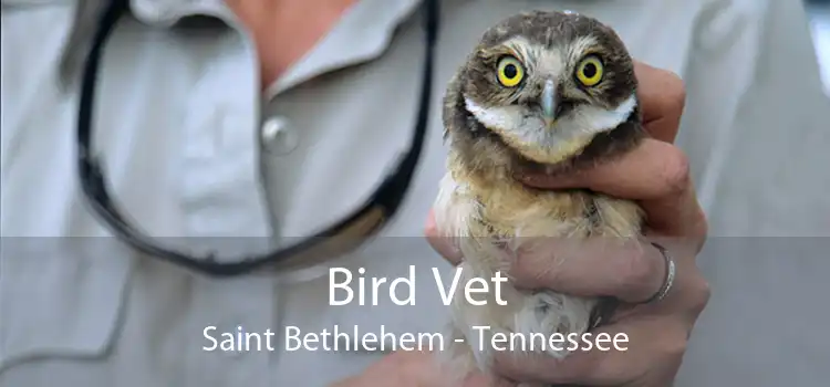 Bird Vet Saint Bethlehem - Tennessee