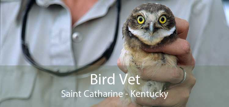 Bird Vet Saint Catharine - Kentucky