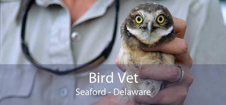 Bird Vet Seaford - Delaware