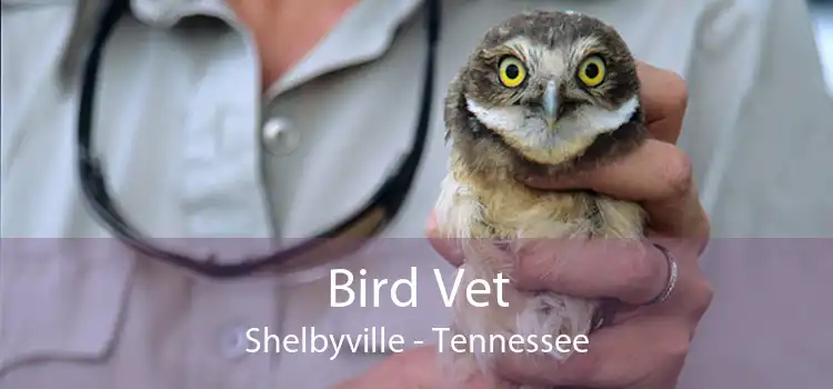 Bird Vet Shelbyville - Tennessee