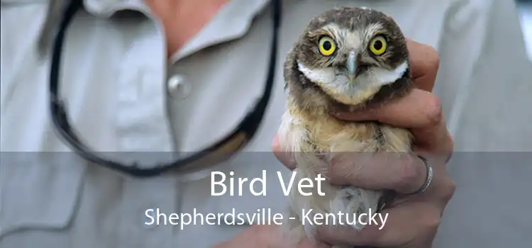 Bird Vet Shepherdsville - Kentucky