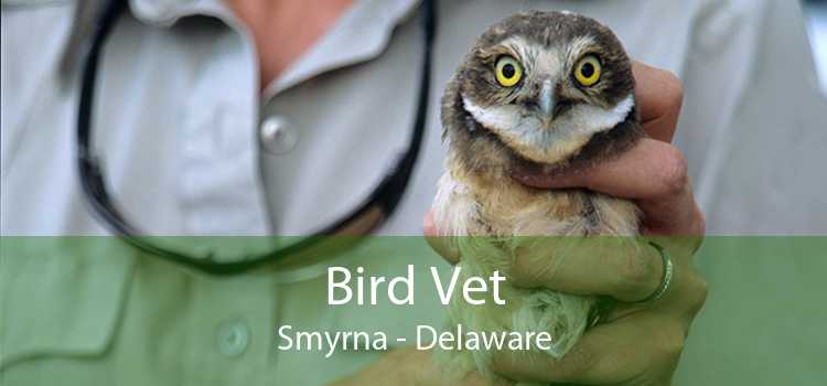 Bird Vet Smyrna - Delaware
