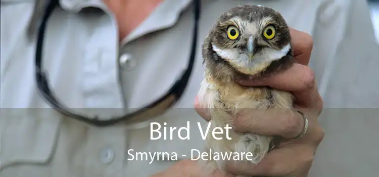 Bird Vet Smyrna - Delaware
