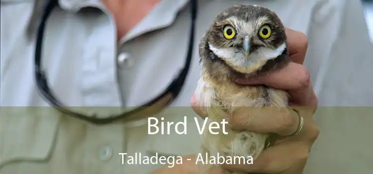 Bird Vet Talladega - Alabama