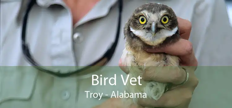 Bird Vet Troy - Alabama