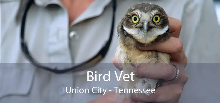 Bird Vet Union City - Tennessee