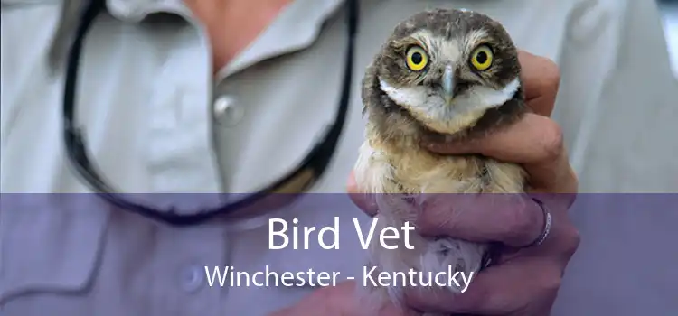 Bird Vet Winchester - Kentucky