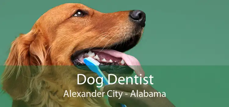 Dog Dentist Alexander City - Alabama