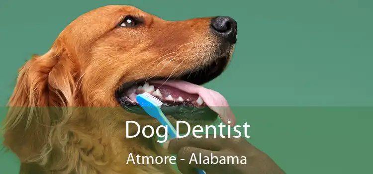 Dog Dentist Atmore - Alabama