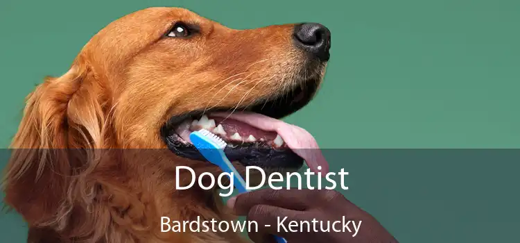 Dog Dentist Bardstown - Kentucky