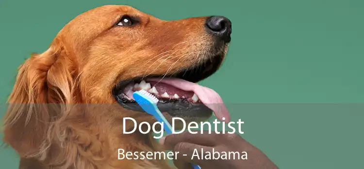 Dog Dentist Bessemer - Alabama