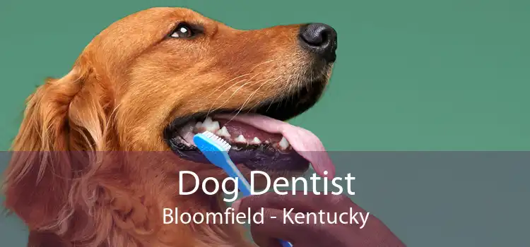 Dog Dentist Bloomfield - Kentucky