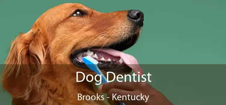 Dog Dentist Brooks - Kentucky
