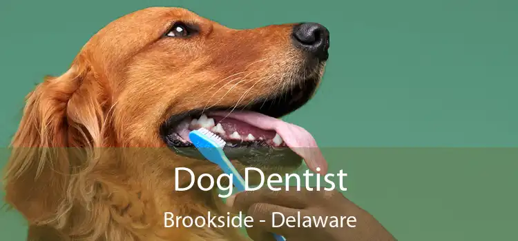 Dog Dentist Brookside - Delaware