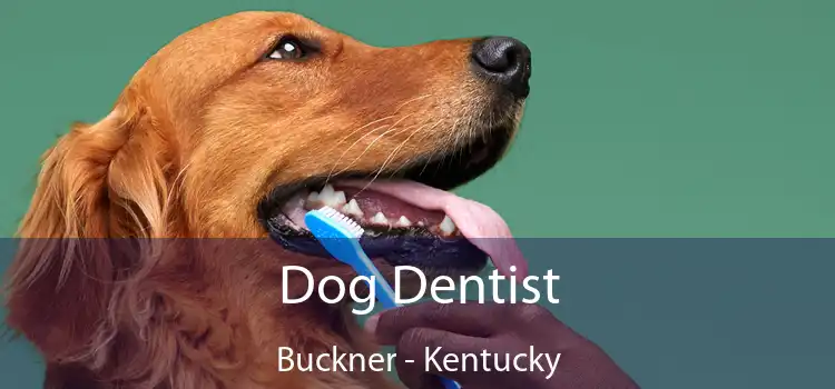 Dog Dentist Buckner - Kentucky