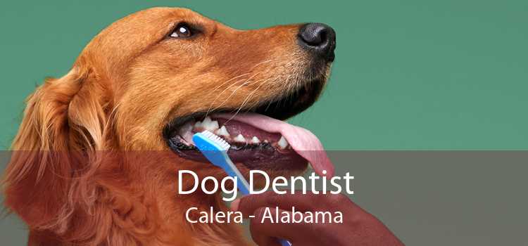 Dog Dentist Calera - Alabama