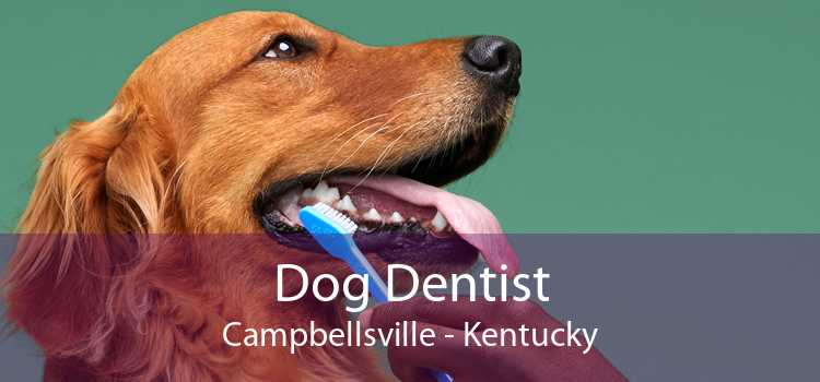 Dog Dentist Campbellsville - Kentucky