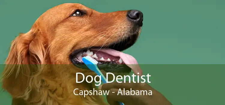 Dog Dentist Capshaw - Alabama