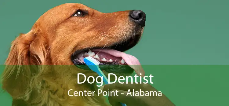 Dog Dentist Center Point - Alabama