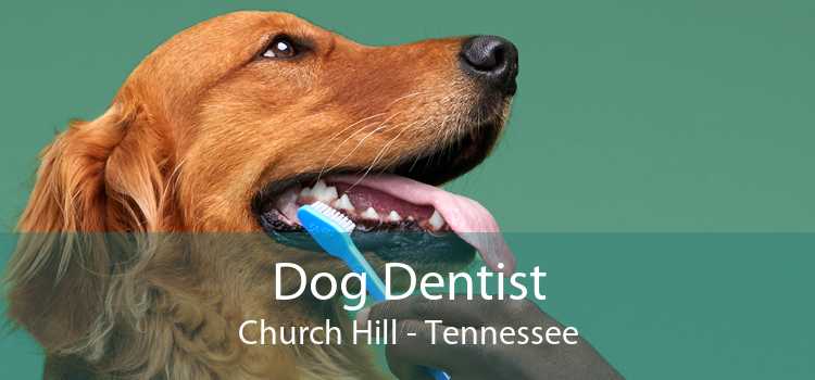 Dog Dentist Church Hill - Tennessee