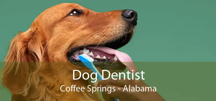 Dog Dentist Coffee Springs - Alabama