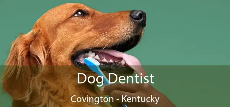 Dog Dentist Covington - Kentucky