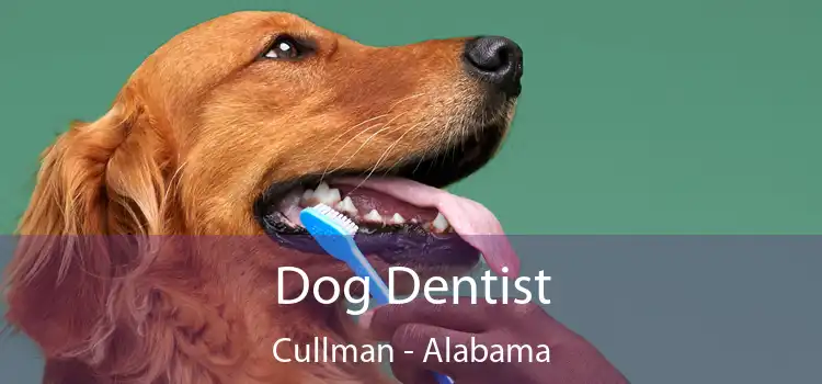 Dog Dentist Cullman - Alabama