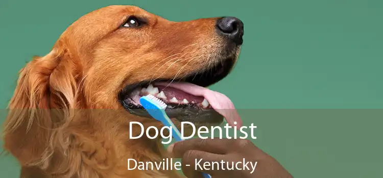 Dog Dentist Danville - Kentucky