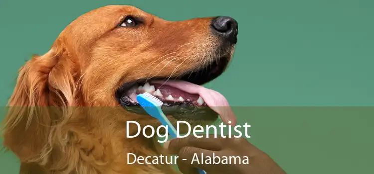 Dog Dentist Decatur - Alabama