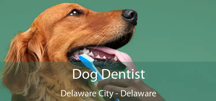 Dog Dentist Delaware City - Delaware