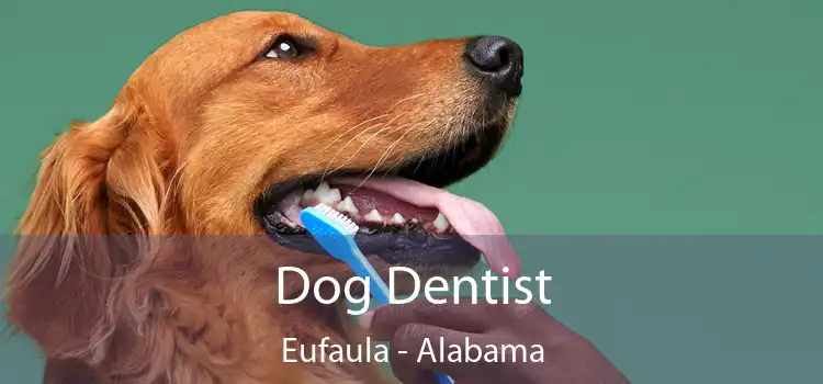 Dog Dentist Eufaula - Alabama