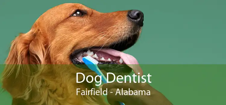 Dog Dentist Fairfield - Alabama