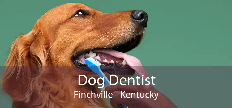 Dog Dentist Finchville - Kentucky