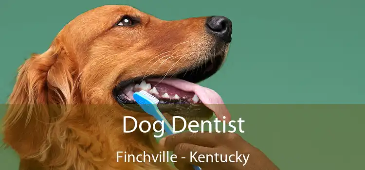 Dog Dentist Finchville - Kentucky