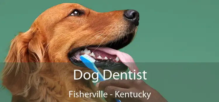 Dog Dentist Fisherville - Kentucky