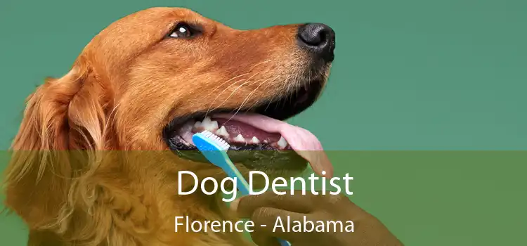 Dog Dentist Florence - Alabama