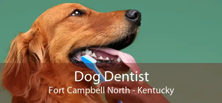 Dog Dentist Fort Campbell North - Kentucky