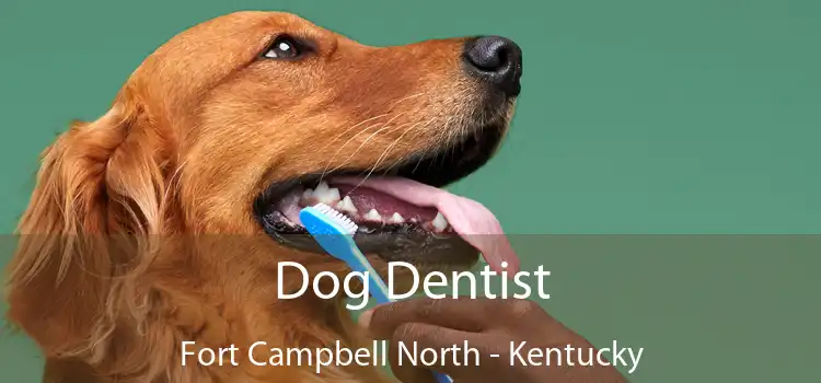 Dog Dentist Fort Campbell North - Kentucky