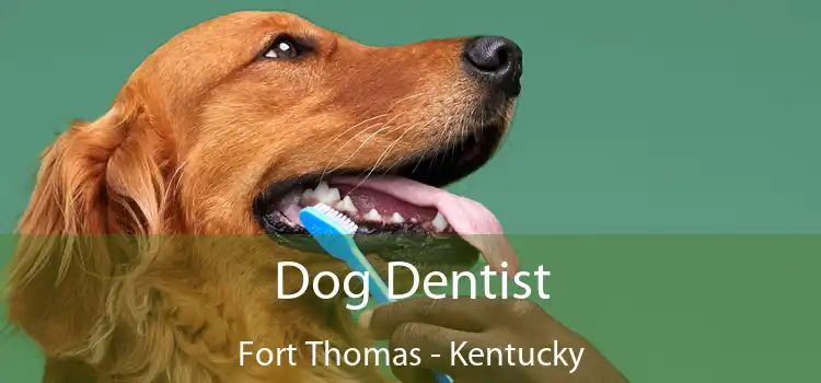 Dog Dentist Fort Thomas - Kentucky