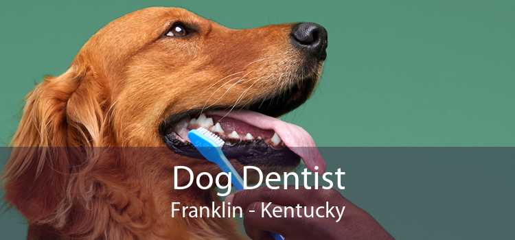 Dog Dentist Franklin - Kentucky