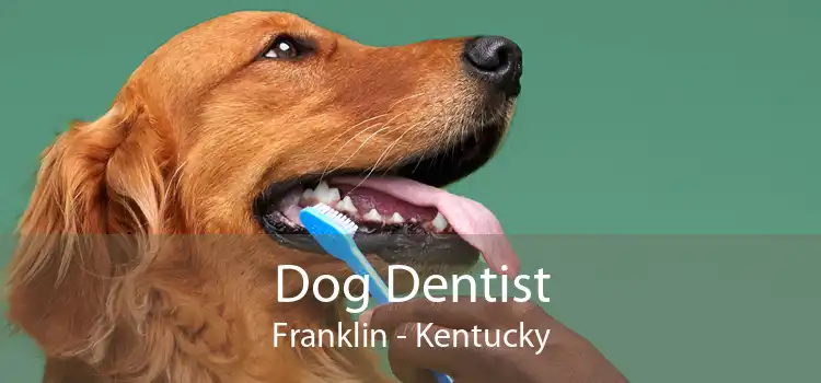 Dog Dentist Franklin - Kentucky