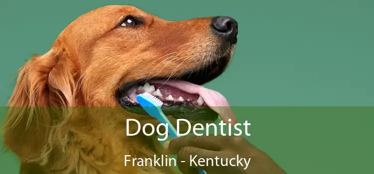 Dog Dentist Franklin - Kentucky