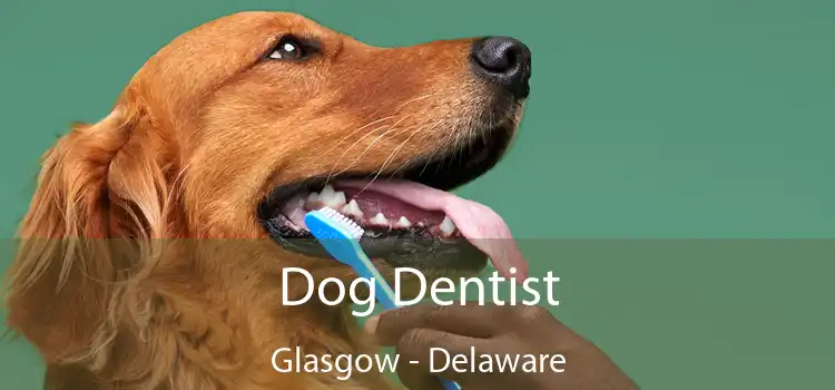 Dog Dentist Glasgow - Delaware