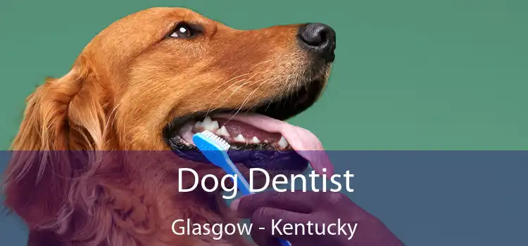Dog Dentist Glasgow - Kentucky